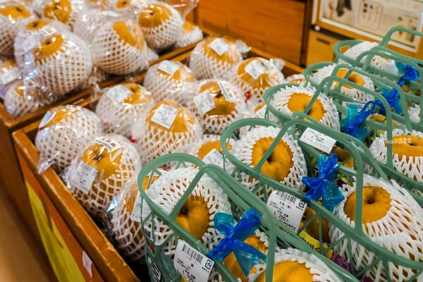 ▲▼鳥取沙丘 砂之美術館。（圖／mika授權提供）