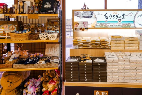 ▲▼鳥取沙丘 砂之美術館。（圖／mika授權提供）