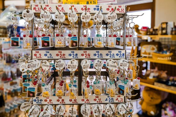 ▲▼鳥取沙丘 砂之美術館。（圖／mika授權提供）