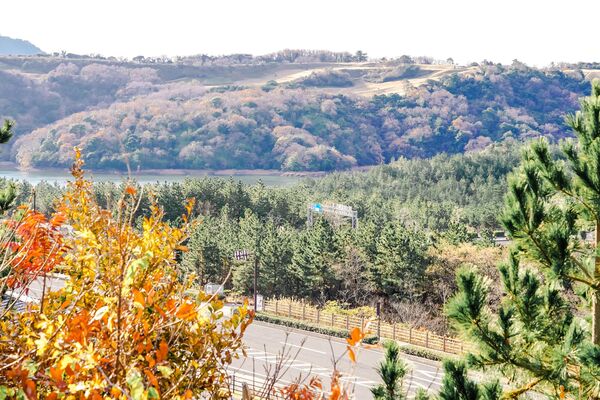 ▲▼鳥取沙丘 砂之美術館。（圖／mika授權提供）