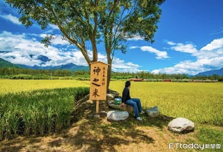 台東池上禾穀坊通過保育共生地認證 打造近9公頃生態農田