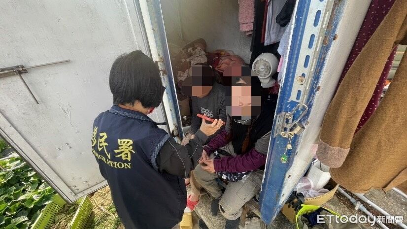 血汗草莓園!泰籍移工時薪不到百元日操16小時 還被丟包山區