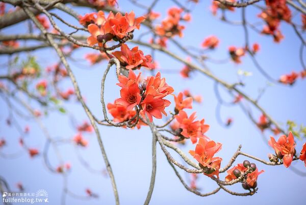 ▲▼TOP8個台南白河景點推薦。（圖／滿分的旅遊札記授權提供）