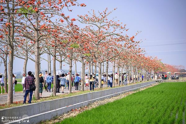 ▲▼TOP8個台南白河景點推薦。（圖／滿分的旅遊札記授權提供）