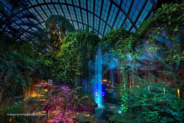 ▲藝術壁畫建築街區,蟲鳴大地Entopia,The Habitat Penang Hill,林祥雄美術館,檳城河航,檳城渡輪博物館,檳城歷史體驗館。（圖／檳城環球旅遊機構提供）