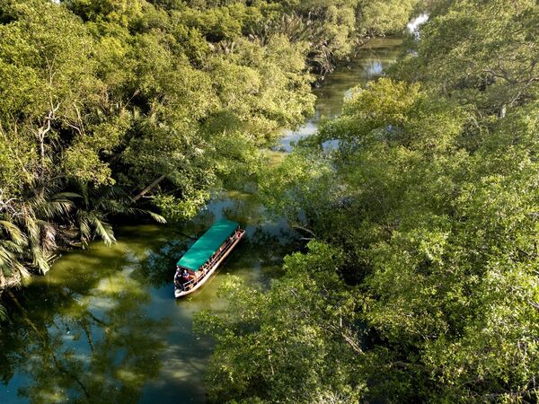 ▲藝術壁畫建築街區,蟲鳴大地Entopia,The Habitat Penang Hill,林祥雄美術館,檳城河航,檳城渡輪博物館,檳城歷史體驗館。（圖／檳城環球旅遊機構提供）