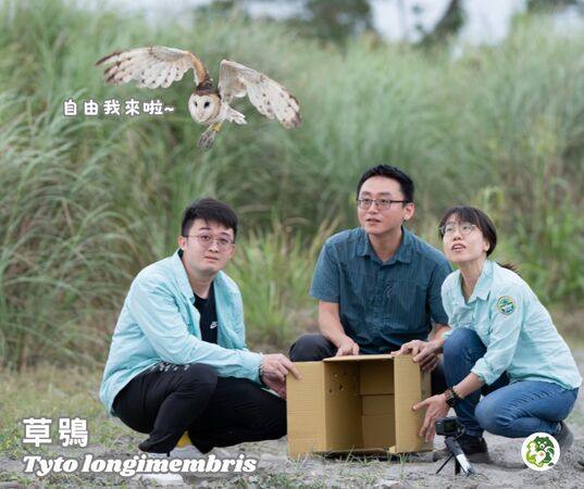 救傷草鴞。（圖／翻攝自屏東科技大學保育類野生動物收容中心）