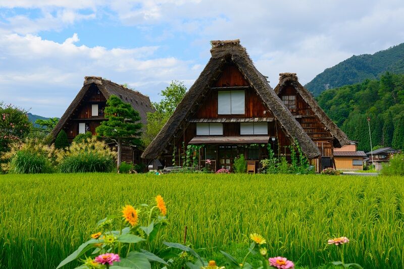 日本阿爾卑斯 立山黑部追雪牆（圖／Shtterstock）