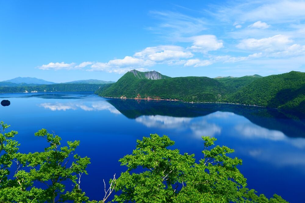 北海道自然探祕 與可愛動物相遇（圖／Shtterstock）