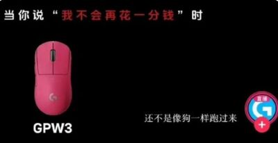 羅技廣告「辱華」酸買家：像狗一樣　被罵到下架