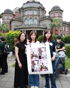 虐待動物事件頻傳　許淑華提4主張：加重處罰、建立動保警察制度
