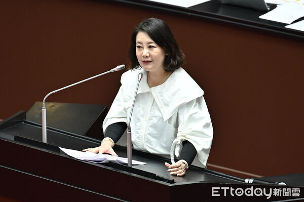 ▲▼立委吳思瑤 。（圖／記者李毓康攝）