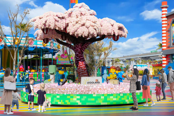 ▲▼日本樂高樂園樂高櫻花樹。（圖／業者提供）使用圖文末需要加：LEGO, the LEGO logo, the Brick and Knob configurations, the Minifigure, NINJAGO, the NINJAGO logo and LEGOLAND are trademarks of the LEGO Group. &copy;2026 The LEGO Group. LEGOLAND is a part of Merlin Entertainments Ltd.