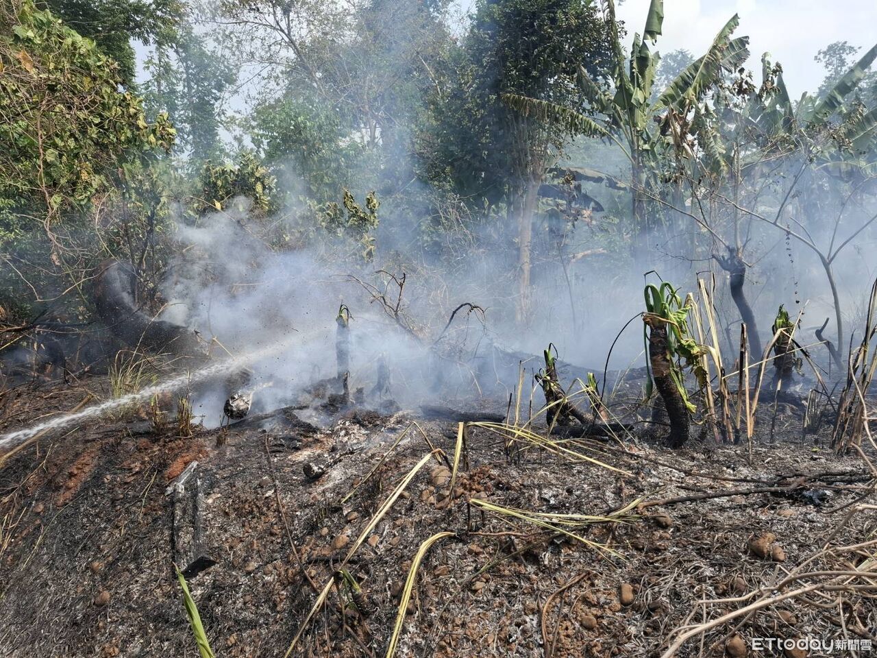 阿里山林鐵1天2起火警!光纖被燒壞 列車長緊急跳下車滅火