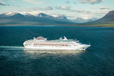 急流勇退迎第二人生！勇伯環遊世界圓夢　他拚60歲前踏遍夢想版圖