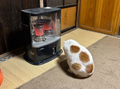 開煤油爐取暖「長出一坨貓」　網笑：烤麻糬很漂亮喔