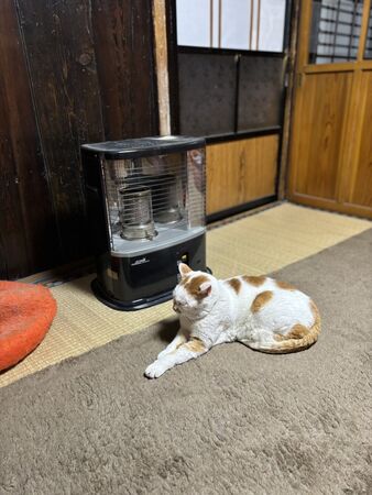 ▲。（圖／翻攝自X／@don_guri_gura）