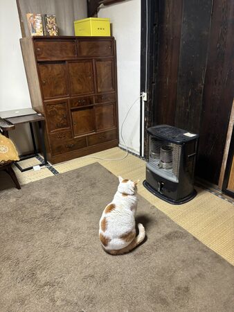 ▲。（圖／翻攝自X／@don_guri_gura）