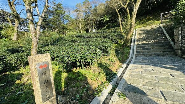 ▲南港環山步道。（圖／產發局提供）