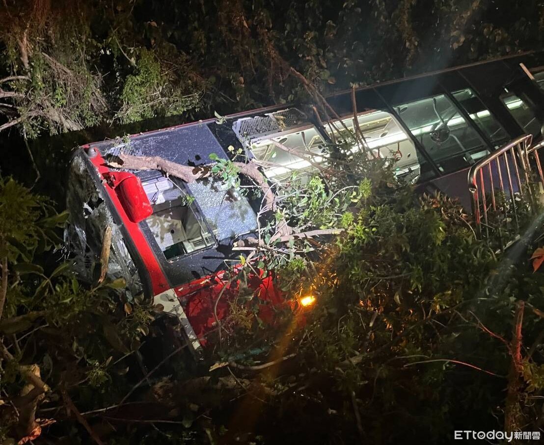 台中公車深夜「衝破護欄墜邊坡」!整輛車傾斜卡樹叢...2人傷送醫