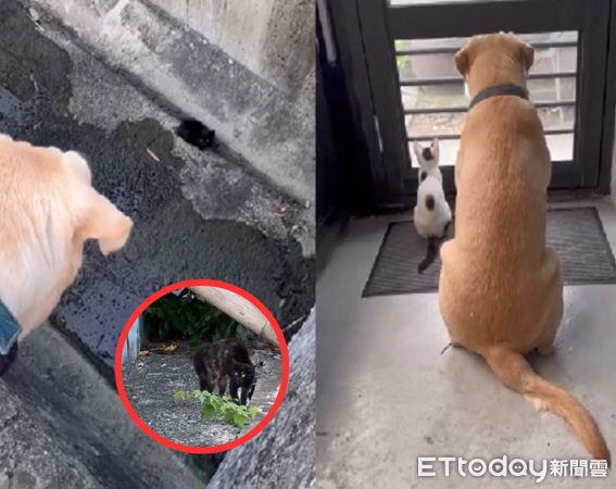 ▲。（圖／Threads@haru.20240306提供，請勿隨意翻拍，以免侵權。）