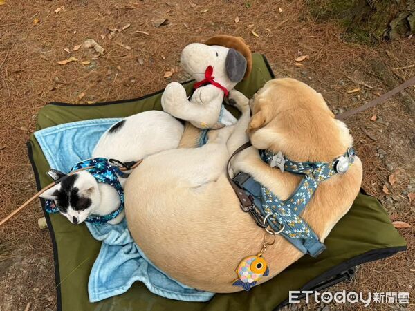 ▲。（圖／Threads@haru.20240306提供，請勿隨意翻拍，以免侵權。）