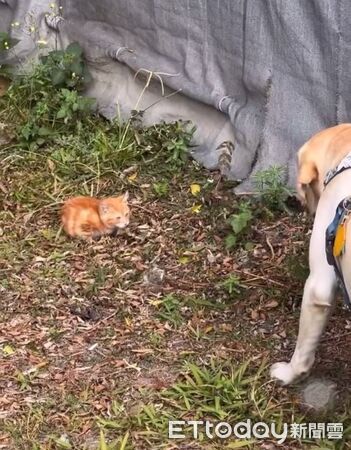 ▲。（圖／Threads@haru.20240306提供，請勿隨意翻拍，以免侵權。）