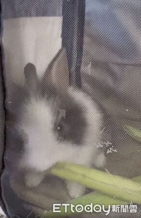 ▲。（圖／Threads@haru.20240306提供，請勿隨意翻拍，以免侵權。）