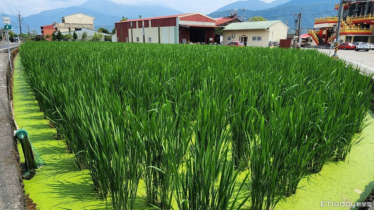 業者未補正資料、開說明會 埔里掩埋場開發案最快4月駁回