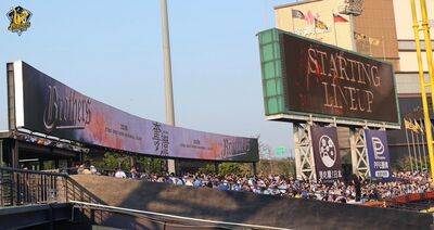 中職4月3日三地開打！緯來三頻道同步轉播　球迷一次掌握