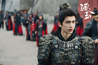 《逐玉》張凌赫來台緩解兩岸關係？　民進黨團：對等尊嚴下都樂見