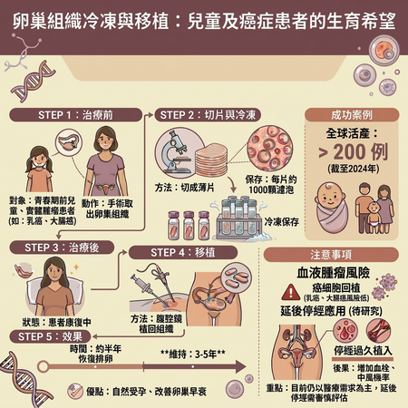 ▲▼    卵巢移植         。（AI協作圖／記者邱俊吉製作，經編輯審核）