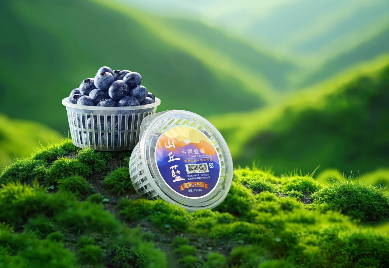 昨天還在樹上的藍莓!2026山丘藍產季開始!來自阿里山的現摘藍莓每日產地直送