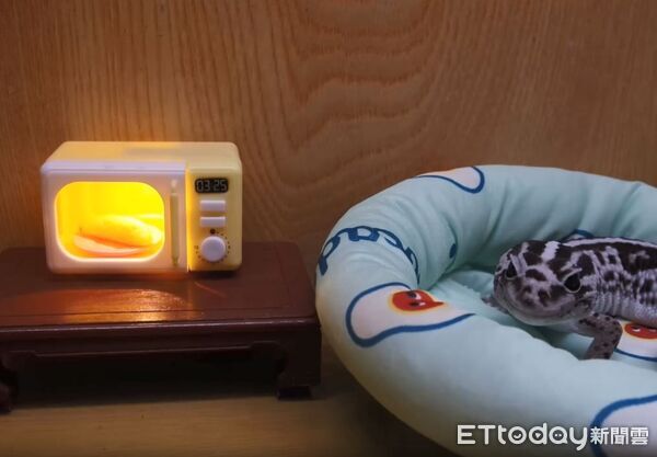 ▲。（圖／Threads@crealm_yh提供，請勿隨意翻拍，以免侵權）