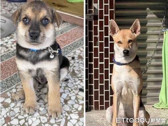 ▲。（圖／有點毛毛的／黃勛投稿）