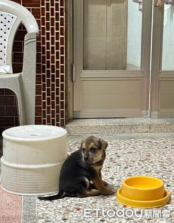 ▲。（圖／有點毛毛的／黃勛投稿）