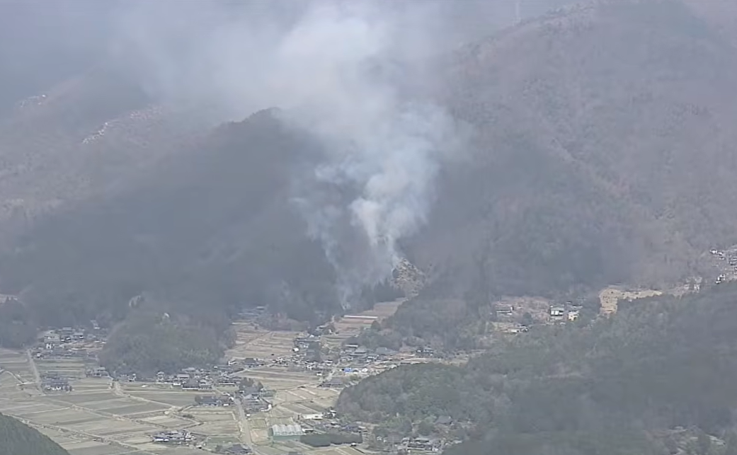 大阪爆發山火!70多歲阿公割草「亂丟菸蒂」 6000㎡瞬間燒光