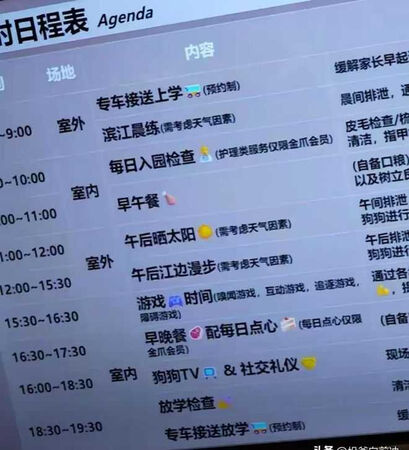 上海有飼主每月花費約1.2萬元人民幣（約新台幣5.3萬元），送犬隻至「狗狗幼兒園」接受訓練與托管。（圖／翻攝自卷史）