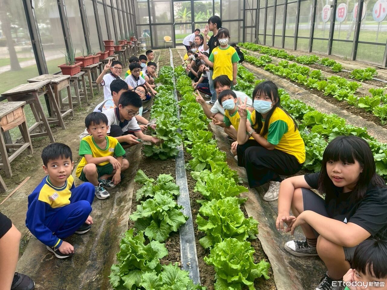 當季尚青!台南高麗菜進校園 學童午餐每週都吃得到