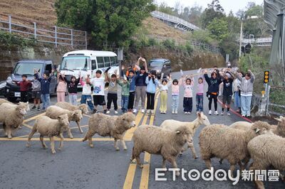 清境農場邀弱勢童體驗一日牧羊人