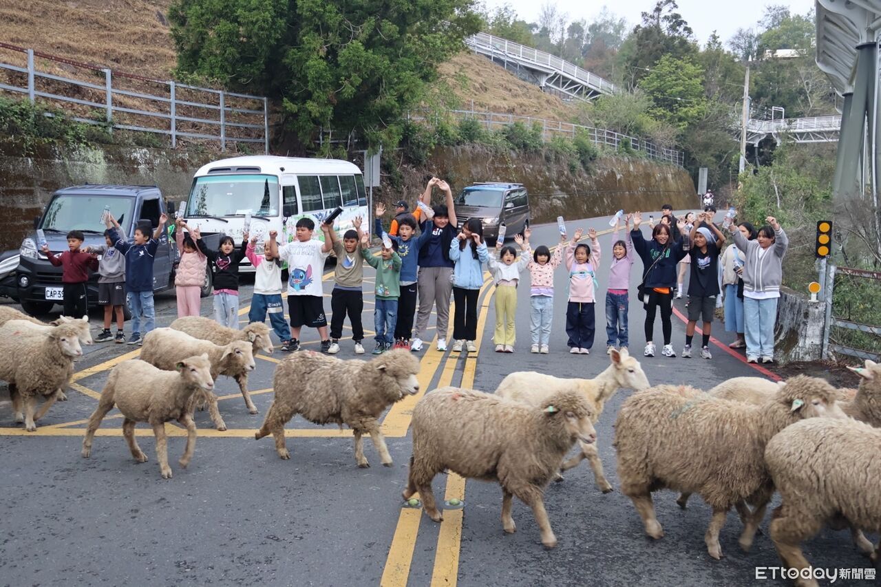 兒童節到...清境農場邀弱勢童體驗一日牧羊人 慷慨提供一泊二食