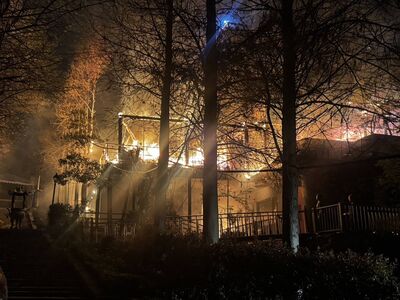 彰化花壇玄門山深夜大火！木造庭園全面燃燒　恐怖畫面曝光