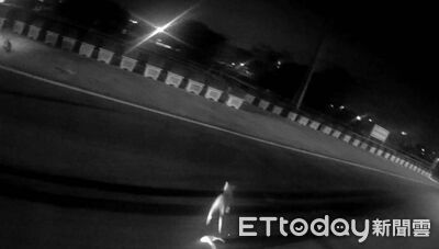 流浪貓頭卡塑膠袋「路中央亂竄」　東港警即時戒護解危