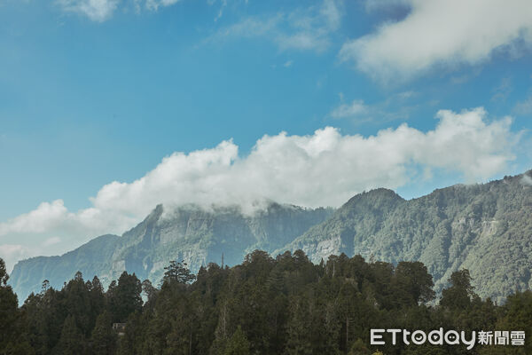 ▲▼   阿里山賓館迎夏之作：海拔2274公尺「高山之巔」頂級套房磅礡登場  。（圖／阿里山賓館提供）