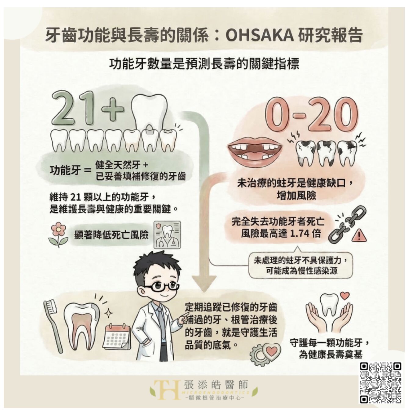 功能牙數量是預測長壽的關鍵指標之一。（圖／張添皓醫師顯微根管治療中心提供）