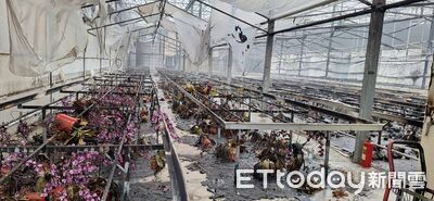 快訊／台南後壁蘭花園區起火！損失逾20萬元　現場慘況曝