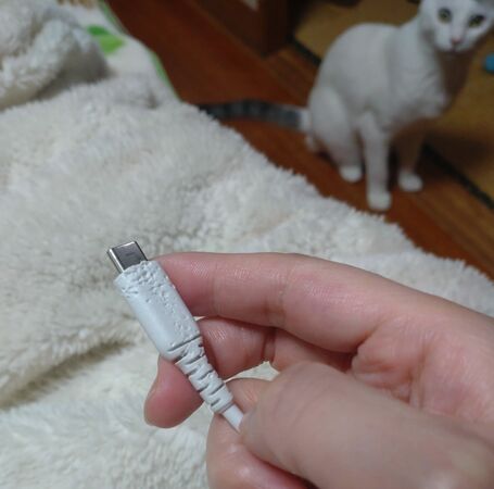 ▲。（圖／翻攝自X/@kikuri_0513）