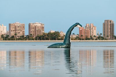 高雄澄清湖「尼斯湖水怪」免費看