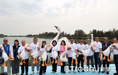 8米巨型天鵝亮相　雲林湖畔變身夢幻樂園