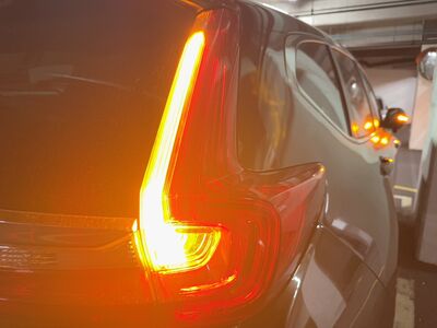 臨停打雙黃燈恐挨罰！一圖看「燈號6大誤區」　交長喊先勸導